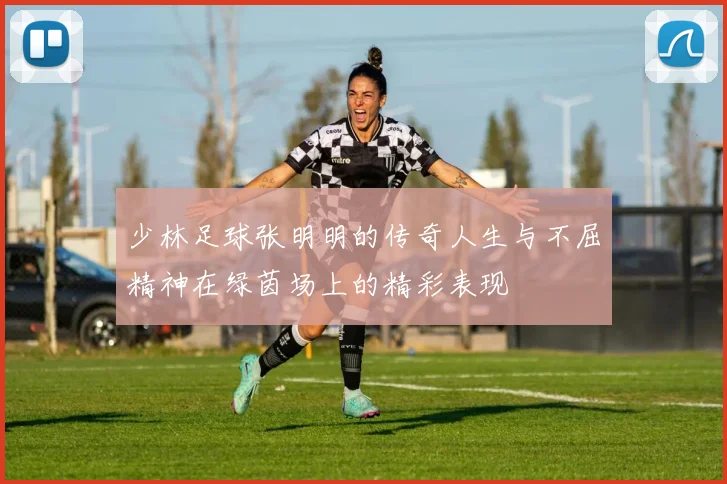 少林足球张明明的传奇人生与不屈精神在绿茵场上的精彩表现